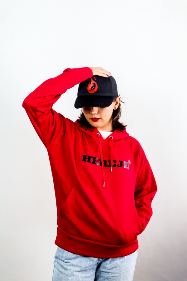Hoodie - Imagen 3